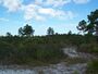 Pumpkin Hill Creek Preserve SP02.jpg
