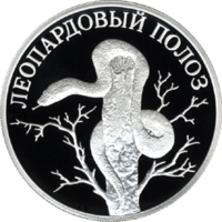 RR5109-0043R Леопардовый полоз.png