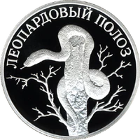 RR5109-0043R Леопардовый полоз.png