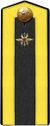 Red Army cadet signal troops school 1943 shoulder straps.jpg