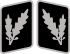 SS-Oberführer Collar Rank.svg
