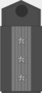 Старший вахмистр (чин) ком.png