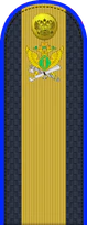 06.погон ФССП - старшина.png