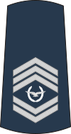 08-Serbian Air Force-WO1.svg
