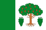 Флаг