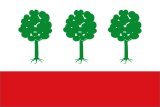 Флаг