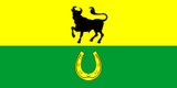 Флаг[d]