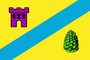 Flag of Beshpagir.png