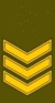 LT-Army-OR6a.gif