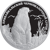 RR5110-0088R.png