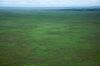 Sabana del Beni - Bolivia.jpg