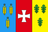 Флаг[d]