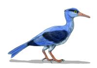Longipteryx BW.jpg