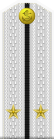 Russia-Navy-OF-1b-1994-white.svg