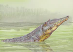 Rutiodon validus 21DB.jpg