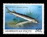 Stamps of Azerbaijan, 1993-194.jpg