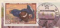 The Soviet Union 1957 CPA 1987 stamp (Black grouse) Cut from a maximum card with postmark.jpg