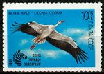 The Soviet Union 1991 CPA 6290 stamp (white stork) small resolution.jpg