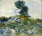 Vincent van Gogh - The Rocks - Google Art Project.jpg