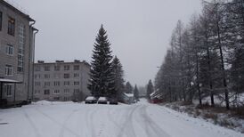 Wikimeetup in Sortavala 2020 — IMG 20201225 133353.jpg