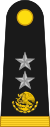 Mexico army OF7.svg