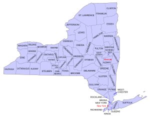 New York Counties.svg