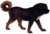 Tibetan mastiff (transparent background).png