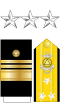US NOAA O9 insignia.svg