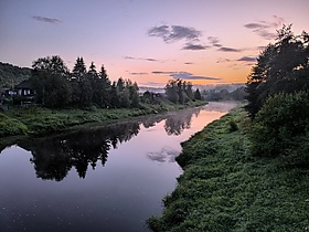 Вепсский лес в районе села Винницы Ленинградской области 2025.jpg