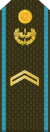 03.Armenian Air Force-JSGT.svg