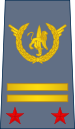 12-ROCongo Air Force-LTC.svg