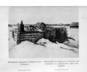 Kustari 090 Stirnja snarushi.jpg