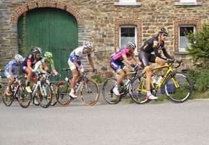 Liège-Bastogne-Liège 2014 Echappée du jour Côte de Wanne.JPG