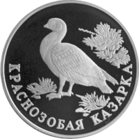 RR5109-0004R Краснозобая казарка.png