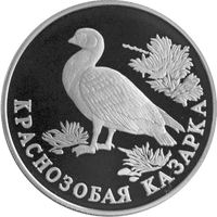 RR5109-0004R Краснозобая казарка.png