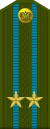 Russia-AirBorne-OF-4-1994-field.svg