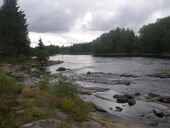 Jänisjoki