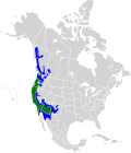 Calypte anna map.svg