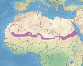 Ecoregion PA1329.svg