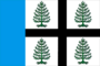 Flag of Sudislavl (Kostroma oblast).png