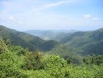 KHAOYAI.JPG