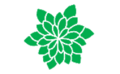 Leaf morphology rosette.png