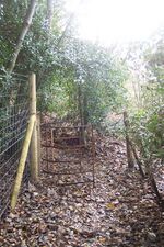 No more a kissing Gate near Rock Wood - geograph.org.uk - 1592226.jpg