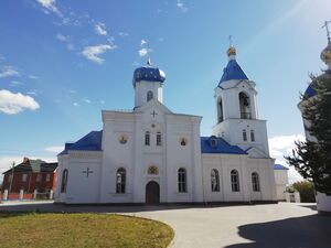Владимирская церковь в Вишенках