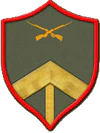 Подпрапорщик Народной армии.png