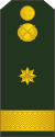 12-Moldovan Army-MAJ.svg