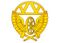 Collar insignia of the Russian Railway Troops.jpg