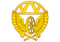 Collar insignia of the Russian Railway Troops.jpg