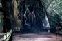 Guamautang Sabah GomatongCaves-10.jpg