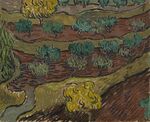 Olijfbomen op een berghelling - s0148V1962 - Van Gogh Museum.jpg